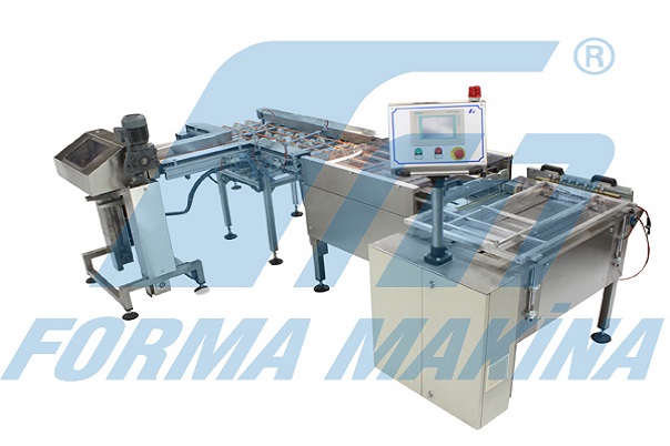8 slide image